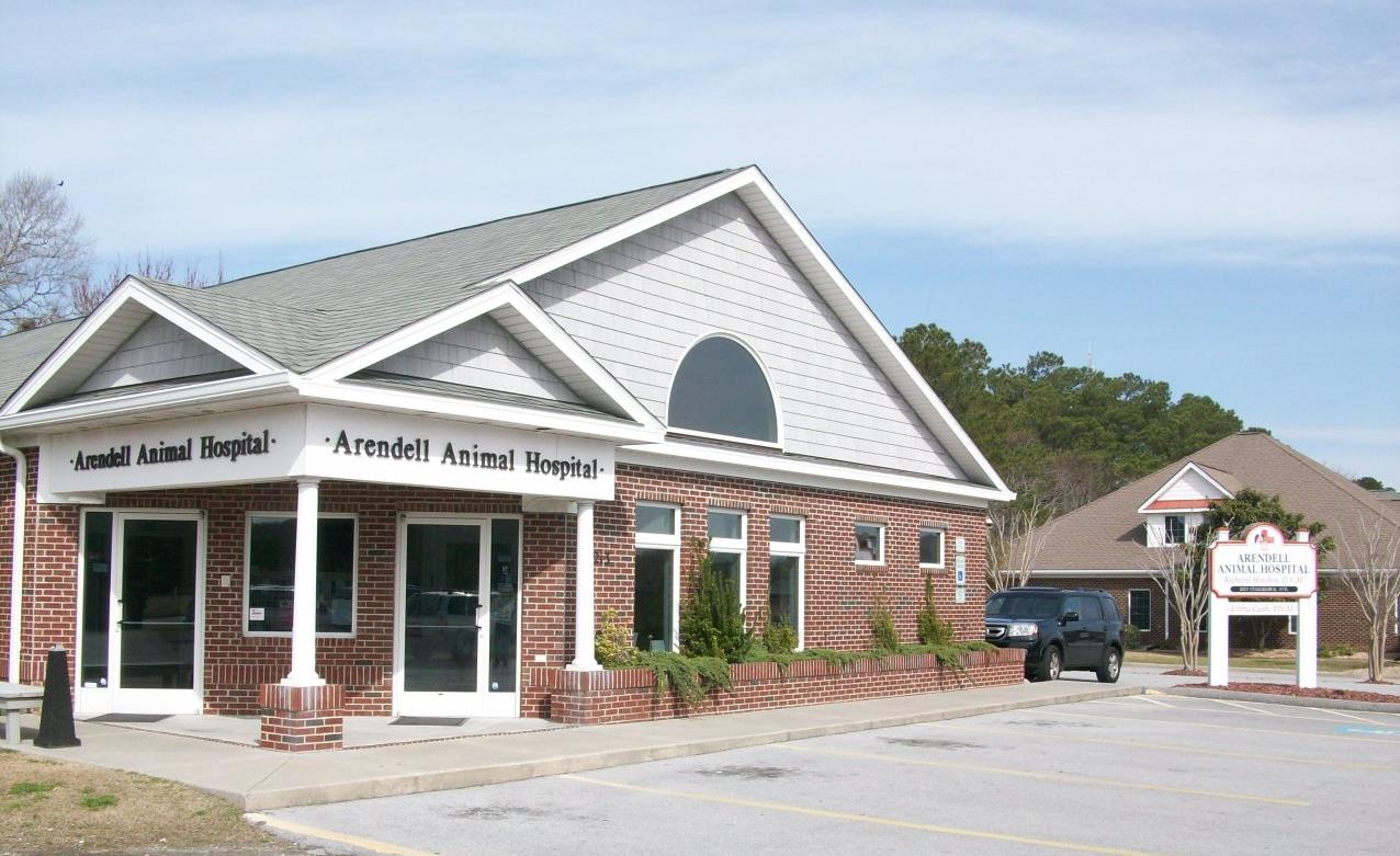 Things To Do Arendell Animal Hospital